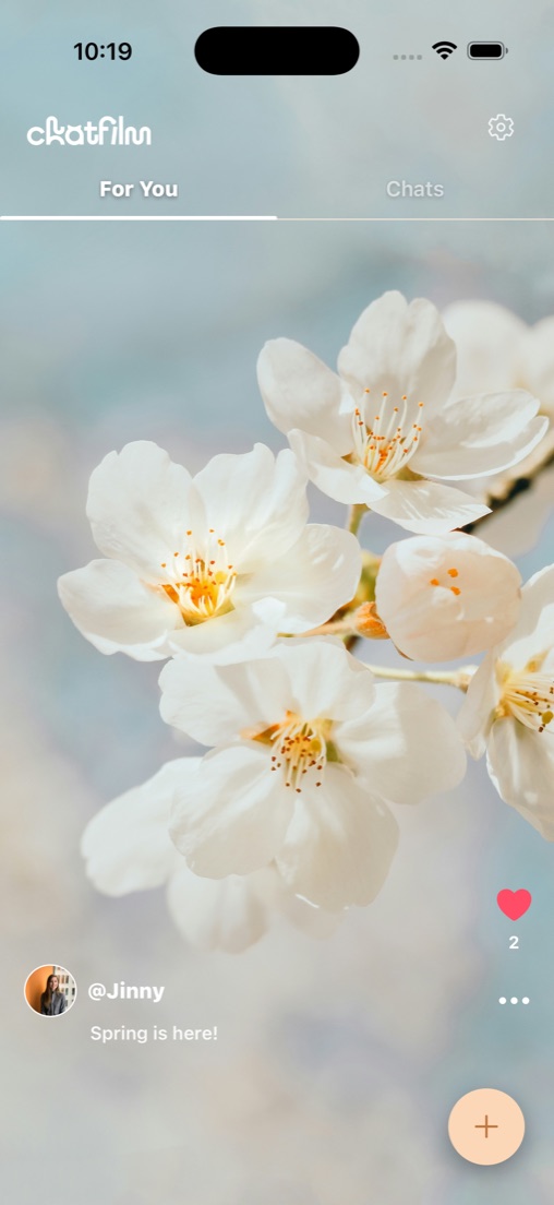 A photo of blossom shared to the Chat Film feed.